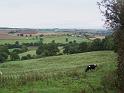 Cullompton, Somerset g